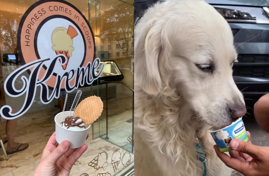 Corona Eisdiele Mannheim+ Eisdiele "Kreme" in Mannheim: Hier gibt es Hundeeis