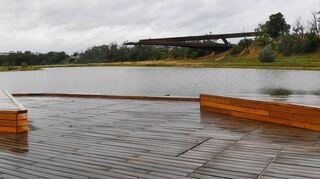 Der Wasserstand ist nicht so hoch, wie er sein sollte: Das neu angelegte Gewässer in der Feudenheimer Au, dahinter der Panoramasteg.