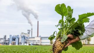 Südzucker ist der größte Zuckerhersteller Europas.