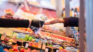 Die starken Preiserhöhungen bei Energie oder Lebensmitteln liegen etwa ein Jahr zurück – Grund zur Entwarnung sieht ZEW-Experte Friedrich Heinemann aber nicht.