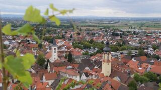 Idyllischer Blick auf Schriesheim: Die Finanzlage der Weinstadt ist allerdings alles andere als rosig, wie Zahlen des Statistischen Landesamtes zeigen.
