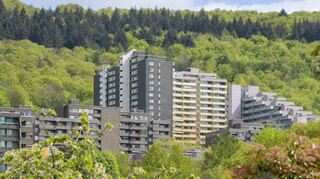 Zwischen Weinbergen und Wald liegt der Heidelberger Emmertsgrund. Vor 50 Jahren zogen hier die ersten Bewohner ein.
