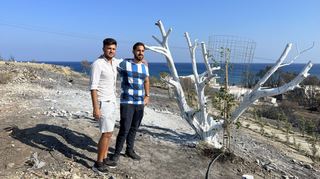 Hotelier Lefteris Laoudikos (r.) und sein Cousin Petros auf dem abgebrannten Hügel hinter ihrem (unversehrt gebliebenen) Hotel Ekaterini auf Rhodos.