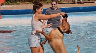 Andrea Mick mit Labrador Bobby beim Hundeschwimmen 2019.