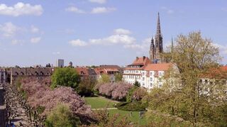Der Feuerbachpark ist ein Kleinod – aber auch in die Jahre gekommen.