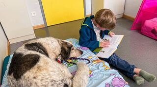 Auch im neuen Schuljahr dürfen die Schüler wieder den Lesehunden vorlesen, die immer freitags in die Seehofschule kommen.