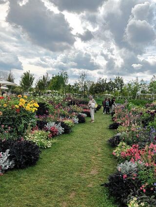 So weit das Auge reicht: ein einziges Blumenrabatten-Meer.
