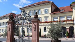 Das Schloss in Neckarhausen: Vorne ist das Eingangstor des einstigen „Grafengartens“ zu sehen. Dieser neckarseitige Schlosspark verschwand durch Hallen- und Schwimmbadbau 1971.