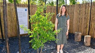Inmitten von abgestorbenen Bäumen wächst ein Ginkgo als grünes Friedenssymbol: Projektleiterin Fabienne Willmann mit dem Hiroshima-Baum.