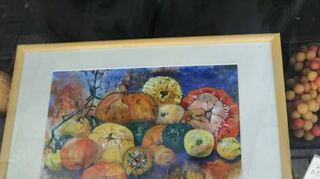 Die Kürbisse zieren das neu gestaltete Kunstschaufenster.