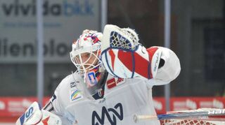 BABIT“ auf der BUGA: Adler Mannheim stimmen sich auf neue Eiszeit ein