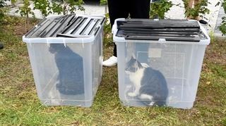 Auch einige tierische Bewohner mussten vor den Flammen aus dem Haus gerettet werden.
