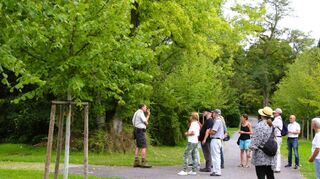 Auch viele einheimische Bäume wachsen auf dem Hauptfriedhof, erklärt der Baumexperte Tobias Schüpferling (l.) bei dem Rundgang mit rund 20 Teilnehmern.