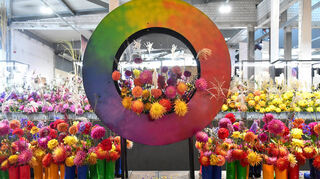 Blick in die derzeit laufende Blumenschau „Zum Glück und wieder zurück“ in der U-Halle der Buga.