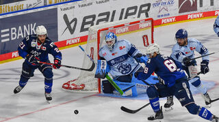 Die Adler Mannheim konnten ihre Siegesserie im Spiel gegen die Straubing Tigers nicht weiter ausbauen.