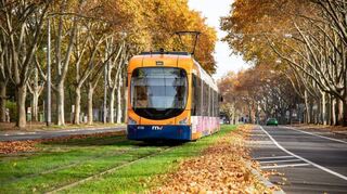 Sonderfahrt der Linie 5 macht mit auffälligem Aussehen auf das Thema Armut und dessen Facetten aufmerksam.