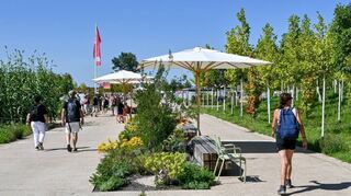 Die Beete, für die eigens die Beton-Straßen aufgebrochen wurden, und die kleinen Hügel sollen nach Ansicht der Initiative erhalten bleiben.
