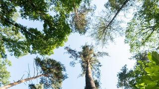 Die Sportkreise Manheim, Heidelberg und Sinsheim wollen nachhaltig agieren und die Umwelt schonen.