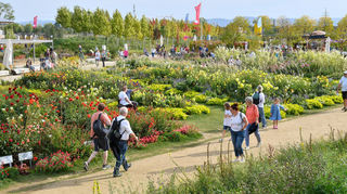 <p>Das prachtvoll blühende Dahlienbeet auf dem Spinelli-Gelände der Bundesgartenschau in Mannheim.<br></p>