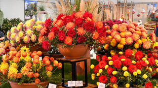 <p>Blick in die letzte Blumenschau der Buga in der U-Halle.<br></p>