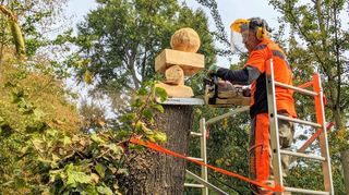 Jochen Liebrich in Aktion: Erst an diesem Mittwoch wird zum Abschluss verraten, was der Balanceakt geometrischer Körper auf dem Stammkopf der Linde im Schlosspark aussagt.