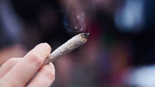 Mehrere Vereine in Rheinland-Pfalz stehen schon in den Startlöchern. Sie erwarten sehnsüchtig das Gesetz zur Teillegalisierung von Cannabis.