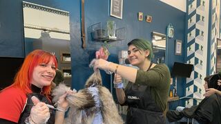 Färben dauert seine Zeit. Der Preis bei Unisex in Mannheim richtet sich nach dem Aufwand.