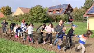 Zum Konzept der Waldorfschule gehören praktische Erfahrungen wie hier auf einem Hof in Dackenheim/Pfalz. Die Kinder lernen den Umgang mit Egge und Pflug.