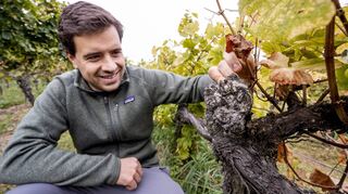 Jung trifft Alt: Der 29-jährige Winzer Pascal Oberhofer legt seine Hand an einen sehr alten Rebstock aus dem 17. Jahrhundert. Hier wächst noch immer Wein.