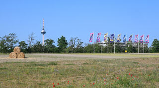 Wiese mit Fahnen und hinten der Fernmeldeturm beim Rundgang über den Westen Spinellis auf dem BUGA23 Gelände.