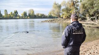 Am Mittwochvormittag suchten Taucher in der Nähe des Strandbades den Rhein ab.