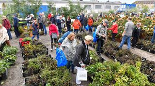 „Ein Stück Buga mit nachhause nehmen“: Die Besucher stöbern bei den Pflanzen im Buga-Betriebshof.