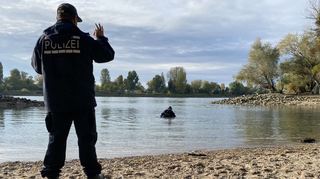 Im Wasser und im Wald: Ein Taucher sucht am Mittwochmorgen in der Bucht bei der Silberpappel nach Gegenständen.