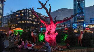 Egon, der sprechende Baum, ist bei Kindern auf dem Märchenwald auf dem Paradeplatz besonders beliebt.