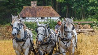 Die Fotoarbeit von Chris Worsley trägt den Titel „Teamwork“ und kommt aus einer Ausstellung des Fotoclubs Chichester mit Landschaftsmotiven aus Sussex.