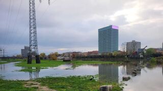 Auch das Neckarufer in Mannheim ist von dem Hochwasser betroffen.