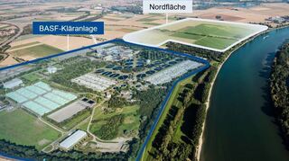 Geht alles glatt bei der Planung, könnte der Solarpark nördlich der BASF-Kläranlage schon 2027 in Betrieb gehen.