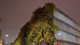 Wenn die neue Stadtbibliothek wie geplant kommt, fällt das Parkhaus in N 2 weg. Das bedauern viele nicht nur wegen der derzeit rund 485 Stellplätze, sondern auch wegen der begrünten Fassade, die Vögeln Nistmöglichkeiten bietet.