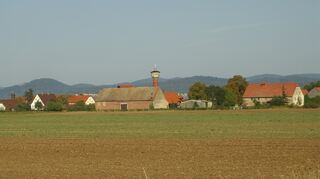 Unter anderem durch die idyllische Landschaft bei Straßenheim soll die neue Gasleitung führen.