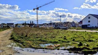 Hier (das Foto stammt aus dem März) soll der Grüne Boulevard im Neubaugebiet Nordstadt-Kurzgewann einmal verlaufen.