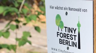Berlin: Ein Schild weist auf einen Tiny Forest hin. In Mannheim soll der erste Tiny Forest (Mikrowald) in Baden-Württemberg entstehen. Auch in Berlin, Hamburg und anderen Städten gibt es inzwischen diese 100 bis 2000 Quadratmeter großen Oasen.