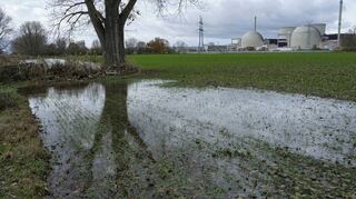 Auf vielen Feldern im Ried sammelt sich nach den starken Regenfällen Wasser. Dem Wintergetreide bekommt die viele Feuchtigkeit nicht gut.