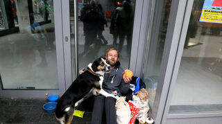 Markus überließ seinem Hund ein Stück Fleischkäse.