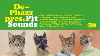 Der Heidelberger Pit Baumgartner von DePhazz lehnt die Optik seines neuen Albums "Pit Sounds" optisch stark an den Meilenstein "Pet Sounds" von Brian Wilson und den Beach Boys an.