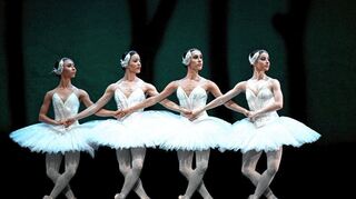 Zu Tschaikowskys Allegro moderato aus dem 2. Akt ist auch im Capitol der berühmte Auftritt der vier kleinen Schwäne(„Danse des quatre cygnets“) zu sehen.