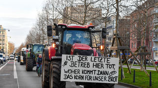 Die Bauern in der Region protestierten bereits mehrfach - wie hier in Mannheim mit Traktoren auf der Augustaanlage.