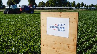 Blick auf das Südzucker-Versuchsgut in Mannheim (Kirschgartshausen).
