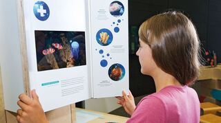 Mitmachstation 
 Sonderausstellung „MenschenWelt“