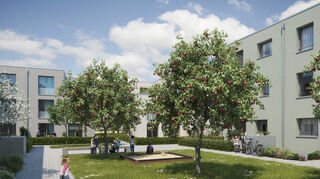 So soll die Streuobstwiese im Herzen des Quartiers aussehen.