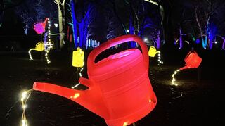 Lichterkunst im Mannheimer Luisenpark.